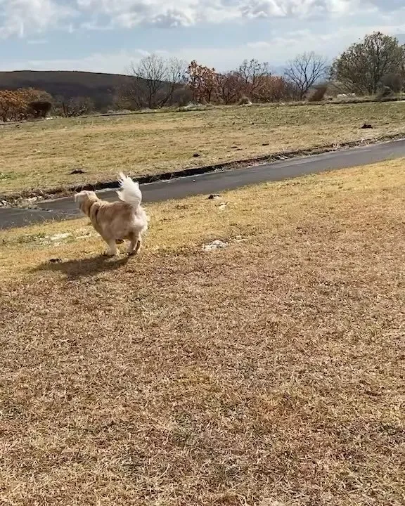 本日はお休みを頂きました。