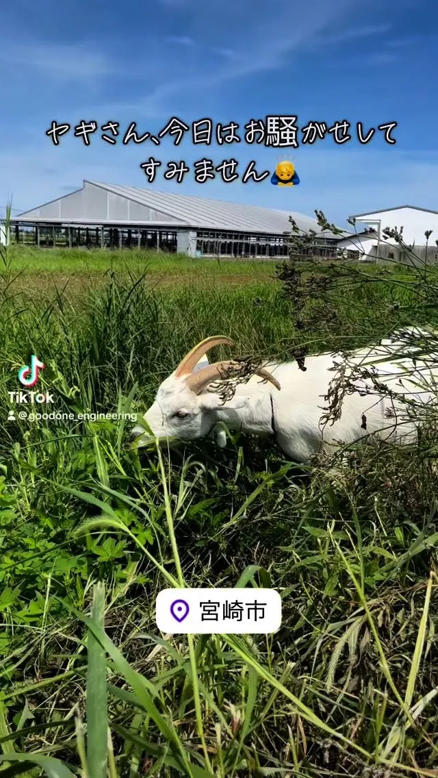 日野・レンジャー、エンジン・DPRクリーニング@宮崎県宮崎市